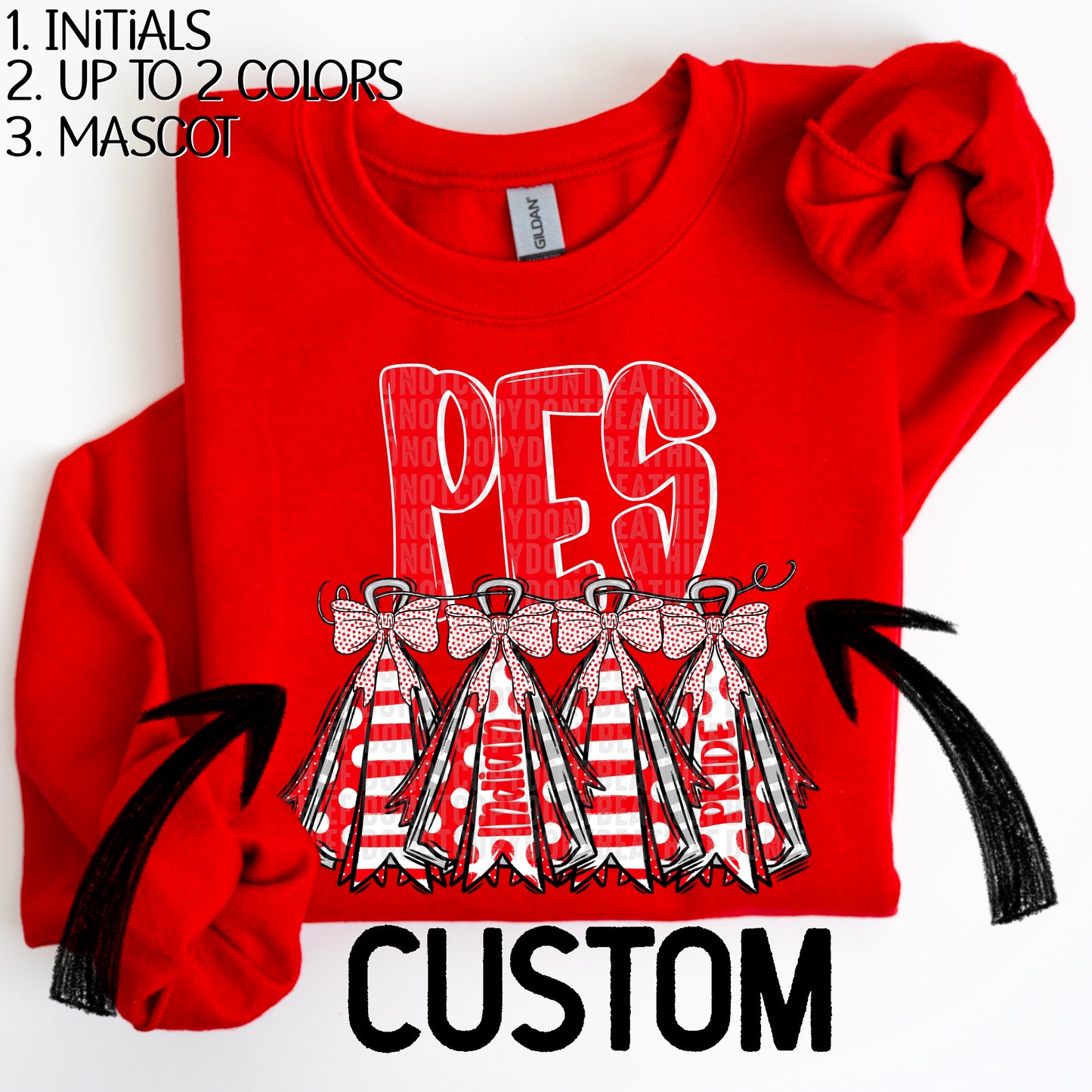 School Spirit Flags CUSTOM
