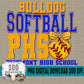 CUSTOM Softball 2025