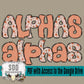 1st 1/2 2026 YEAR ALPHA DOODLE DRIVE