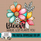 Bloom Where God Plants You
