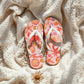 Coral Beach Seamless Bundle