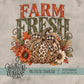 Farm Fresh Pumpkin