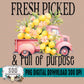 Fresh Picked & Full of Purpose