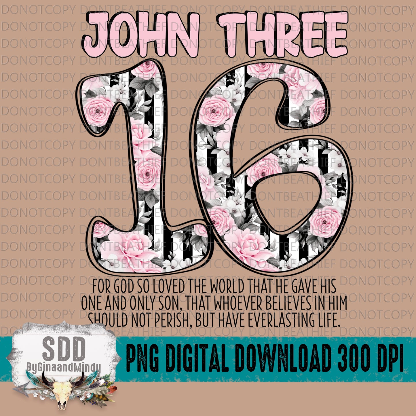 John 3 16