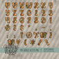 Painted Fall Alpha (4 Sets Aa-Zz, 0-9, Special Characters, Special Shapes)