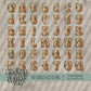 Painted Fall Alpha (4 Sets Aa-Zz, 0-9, Special Characters, Special Shapes)