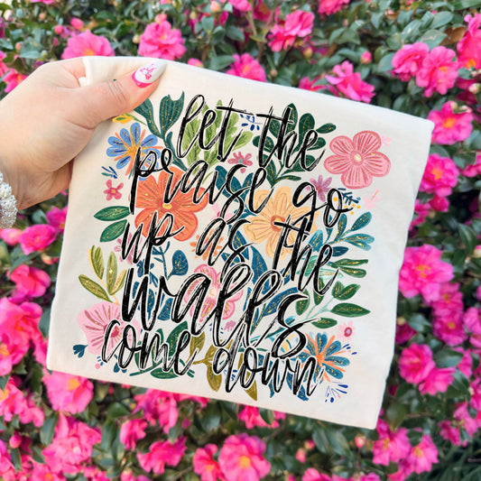 let the praise go up as the walls come down Bundle