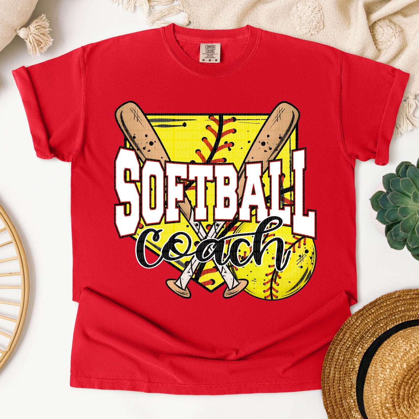 Softball Coach