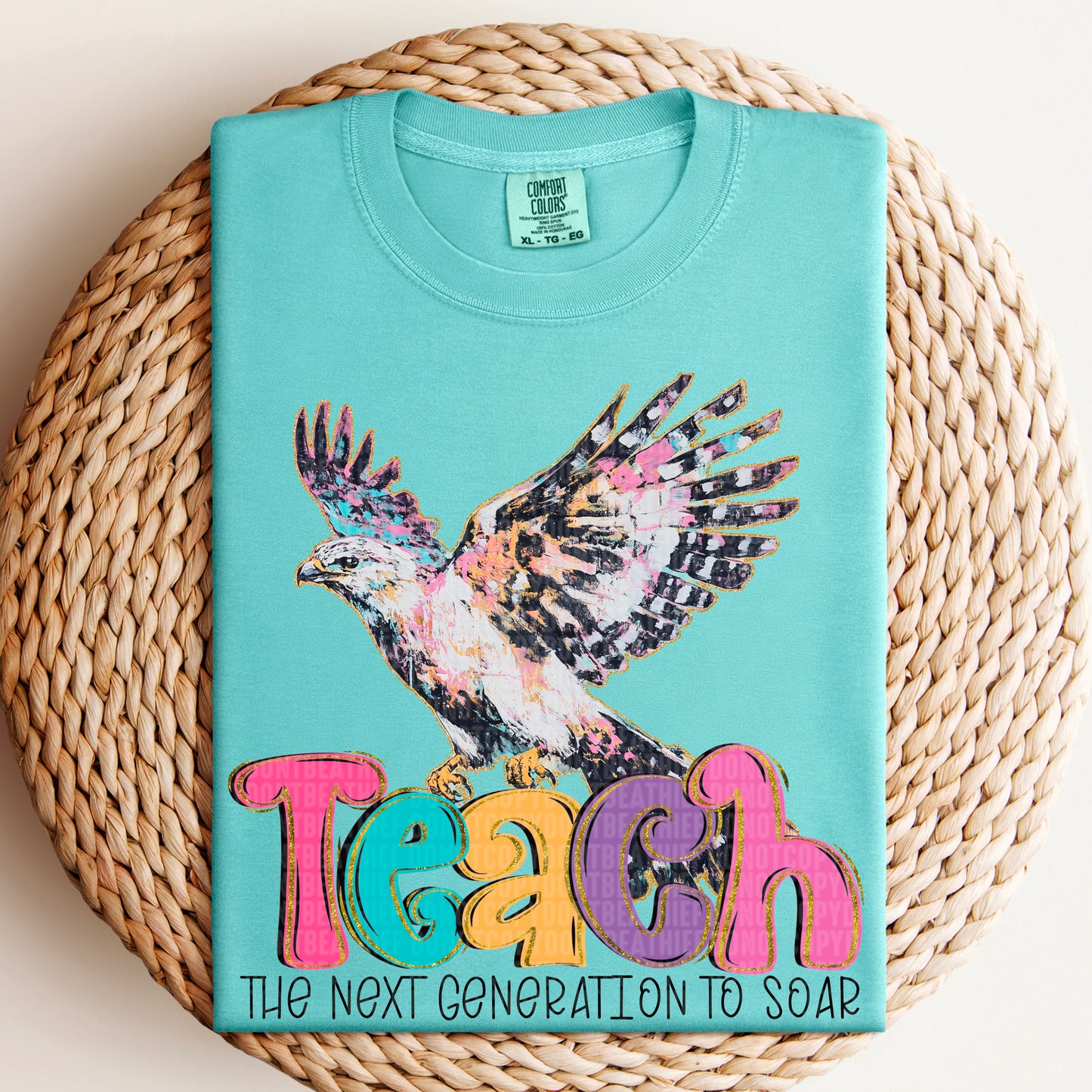 Teach The Next Generation to Soar