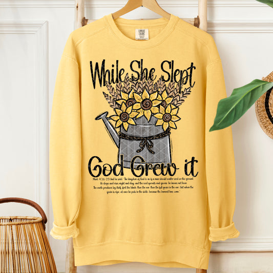 While She Slept God Grew It Bundle