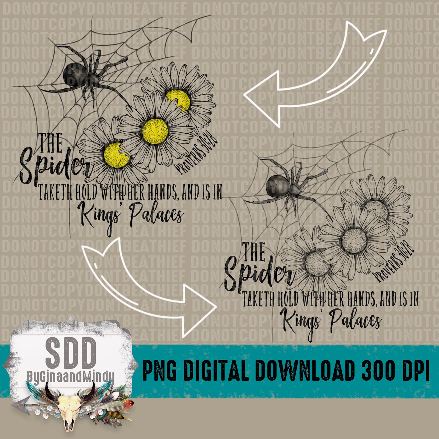 Spider Daisy Bundle